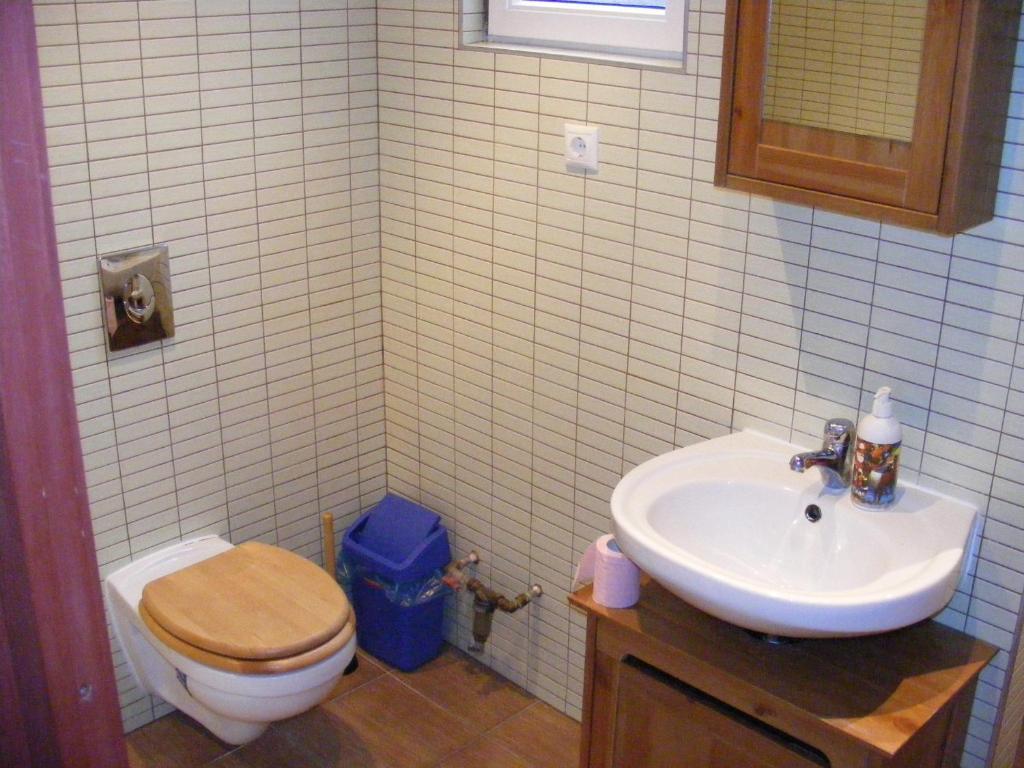 Palatinus Apartment Budapest Bilik gambar